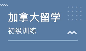 鄭州出國留學加拿大 如何選擇靠譜的中介？