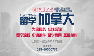本科留學必讀 成都出國留學中介排名與成功條件全解析