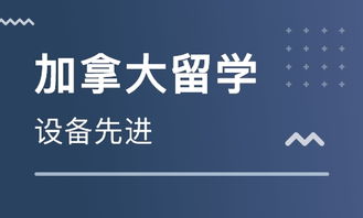 南京加拿大中學留學中介選擇指南 如何找到靠譜的出國留學中介