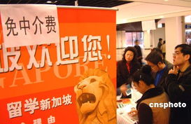 99%的學生沒出國經歷，業內人士揭秘留學中介內幕